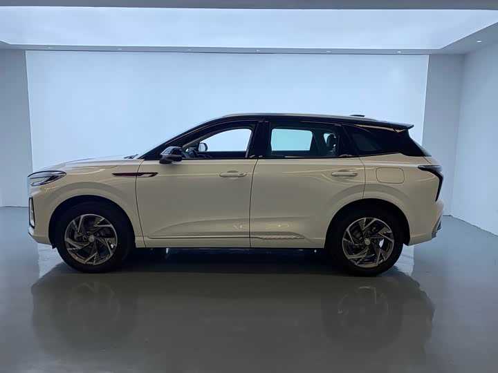 Фото 4 - Hongqi HS3 Hybrid