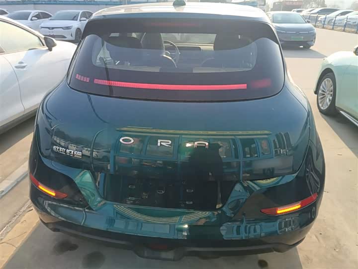 Фото 6 - Ora Good Cat (03)