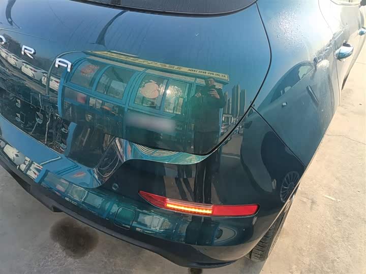 Фото 8 - Ora Good Cat (03)