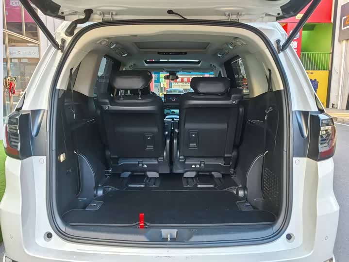 Фото 6 - Honda Elysion