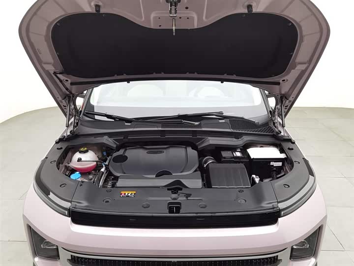 Фото 6 - Geely Icon