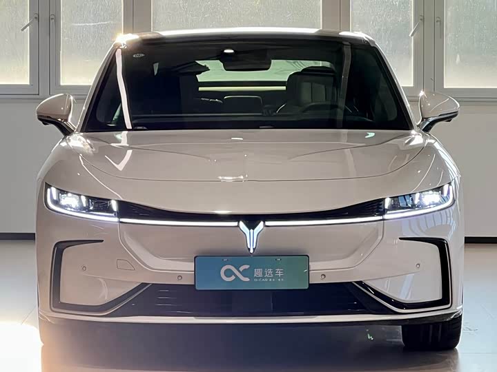 Фото 2 - Voyah Passion