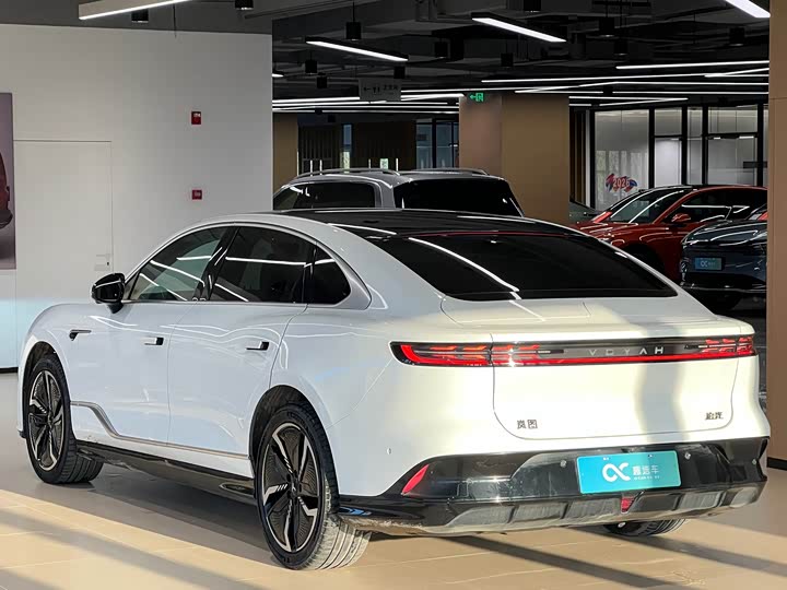 Фото 5 - Voyah Passion