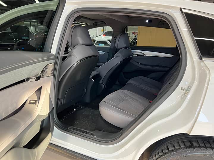 Фото 9 - Voyah Passion