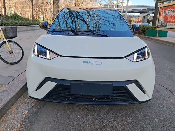 Фото 2 - BYD Seagull