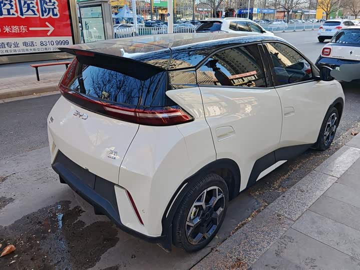 Фото 3 - BYD Seagull