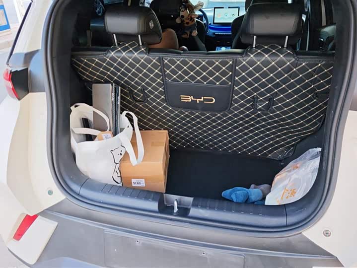 Фото 4 - BYD Seagull