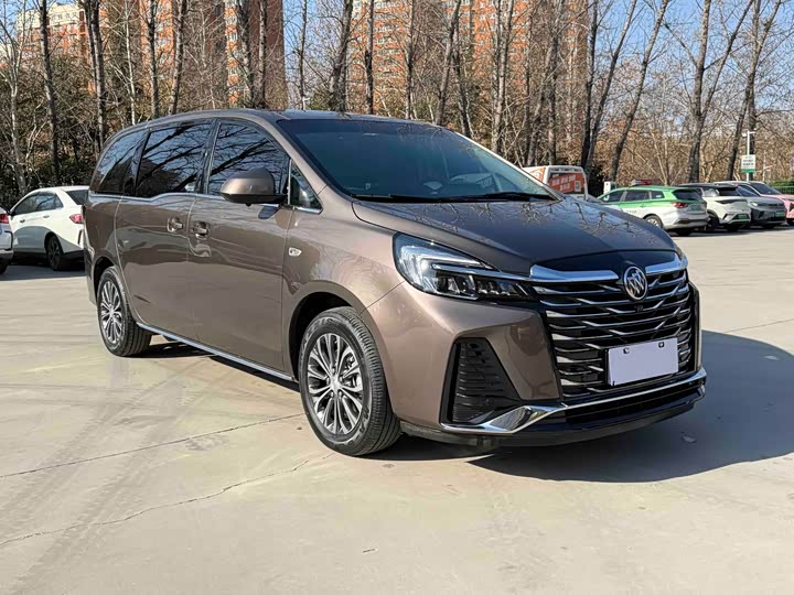 Фото 3 - Buick GL8 ES