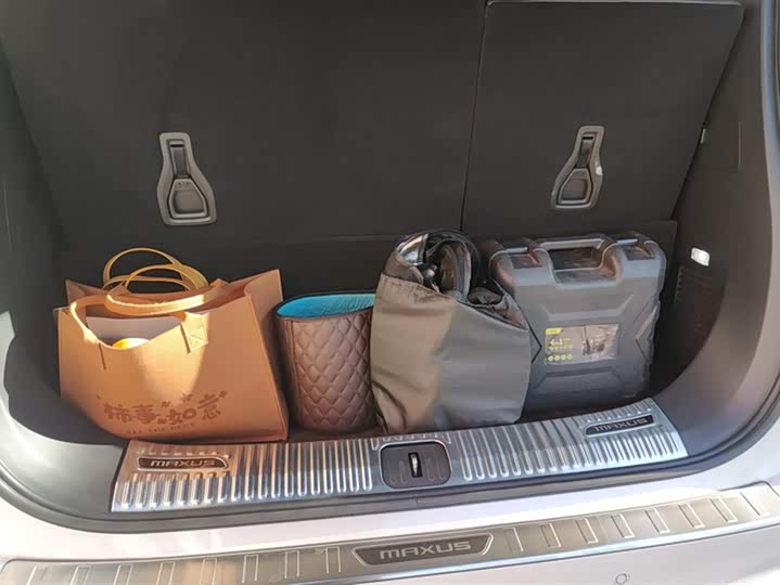 Фото 4 - Maxus G90