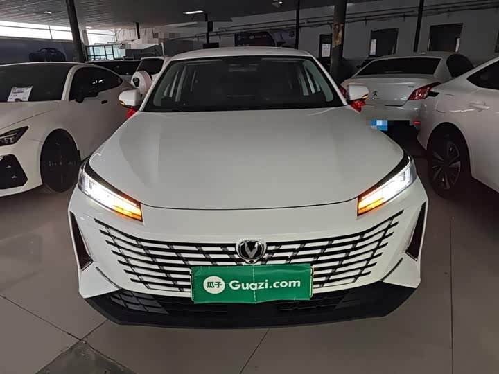 Фото 3 - Changan Eado EV