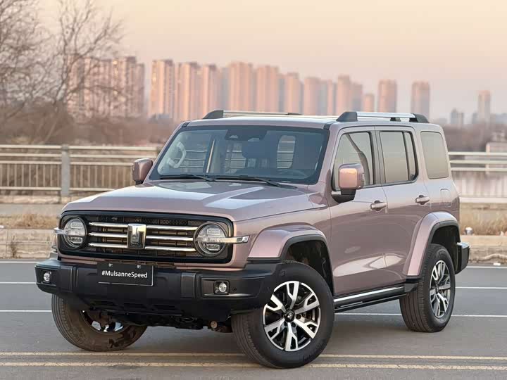 Фото 1 - Tank 300