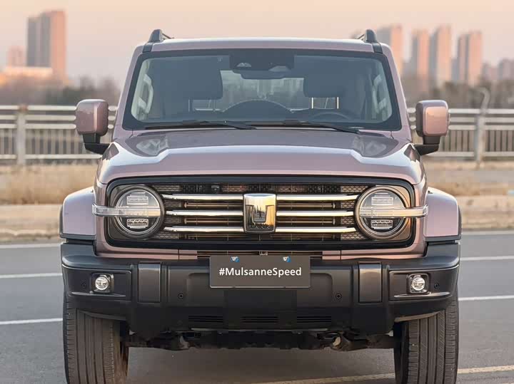 Фото 2 - Tank 300