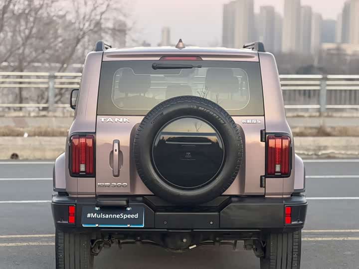 Фото 4 - Tank 300