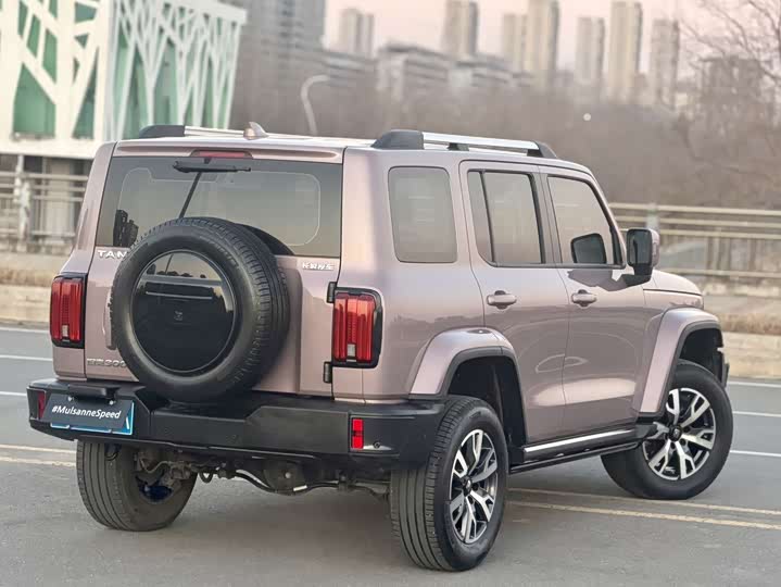 Фото 5 - Tank 300