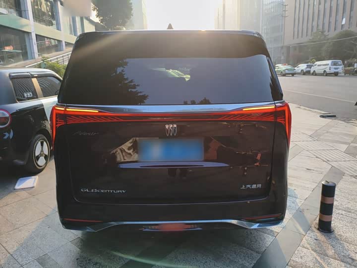 Фото 4 - Buick GL8 Century