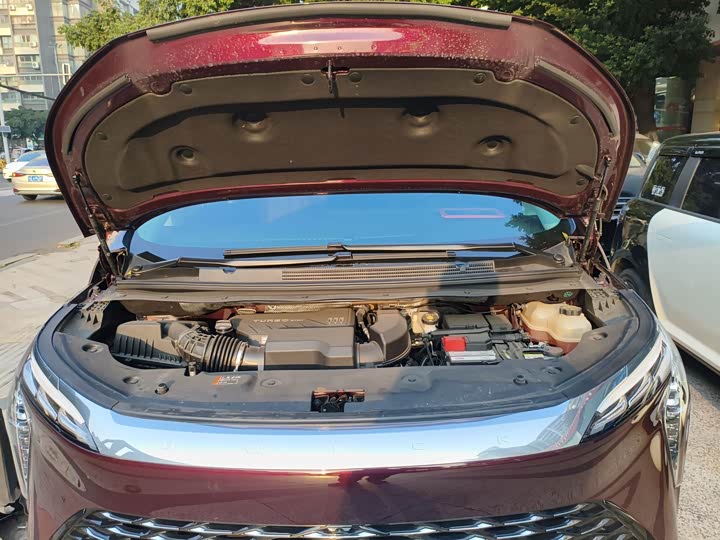 Фото 9 - Buick GL8 Century