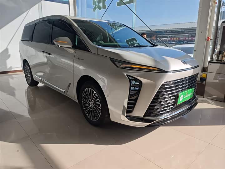 Фото 4 - Buick GL8 Hybrid