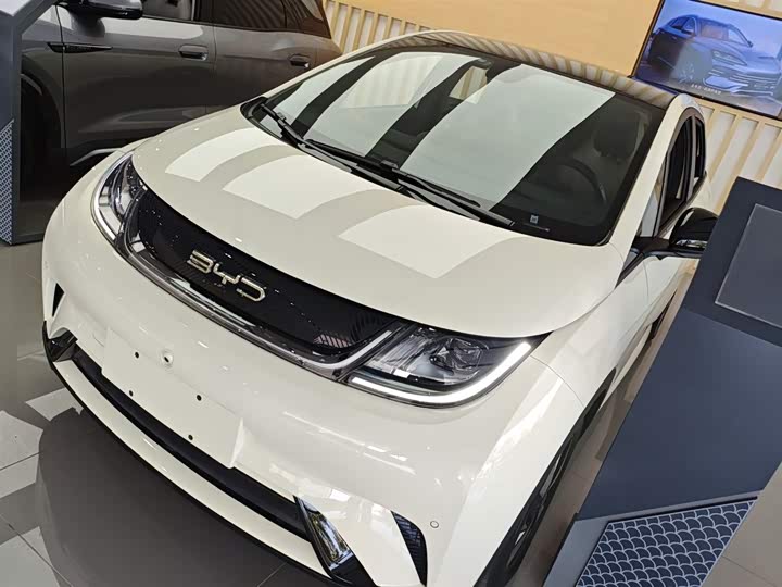 Фото 2 - BYD Dolphin