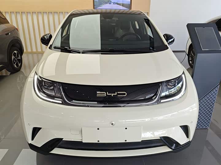 Фото 3 - BYD Dolphin