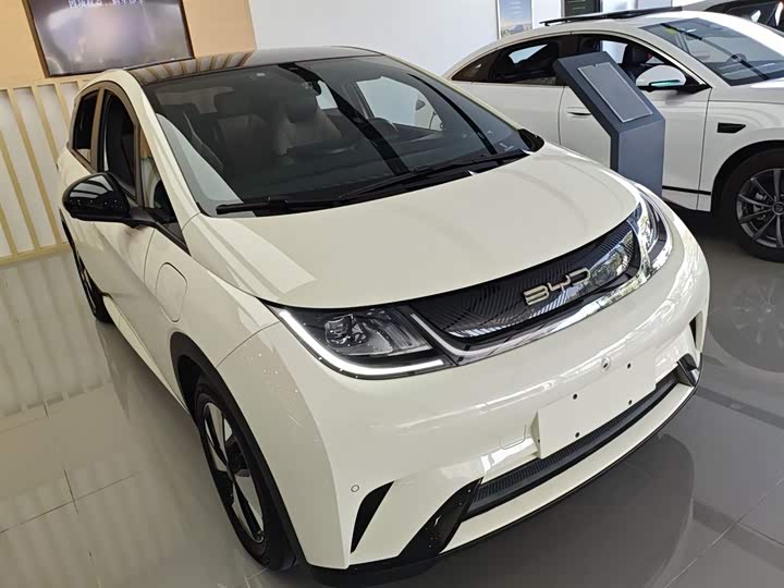 Фото 4 - BYD Dolphin