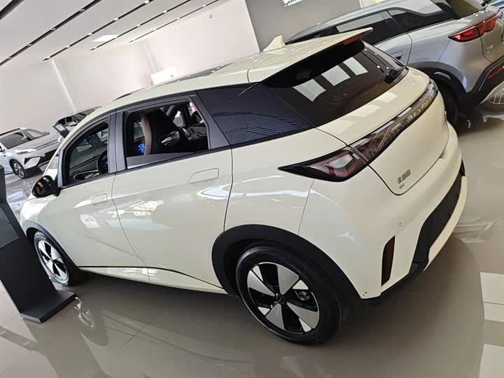 Фото 5 - BYD Dolphin