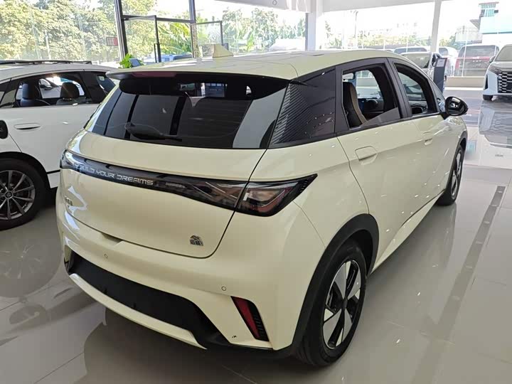 Фото 7 - BYD Dolphin