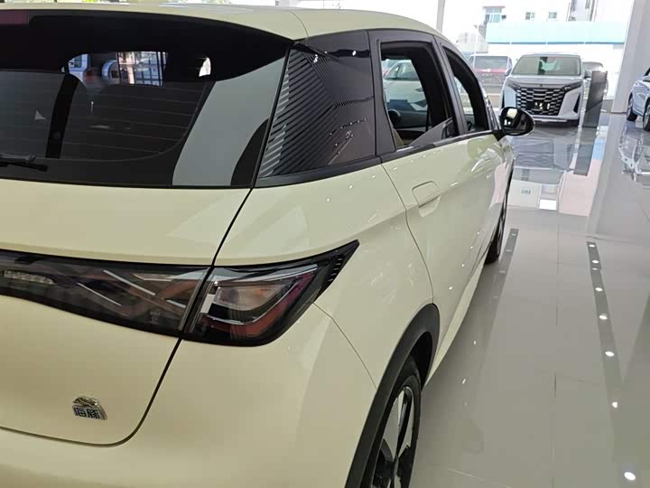 Фото 8 - BYD Dolphin