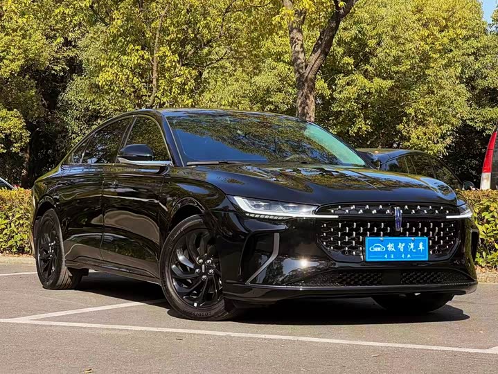 Фото 9 - Lincoln Z (Zephyr)