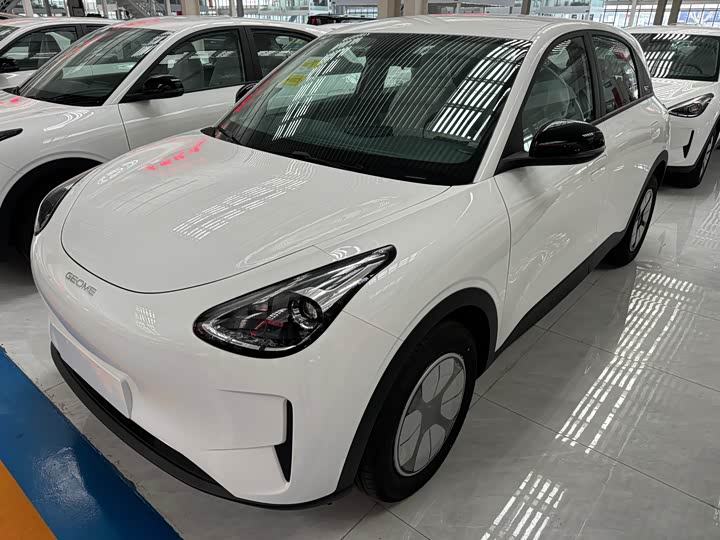 Фото 1 - Geely Galaxy Geome