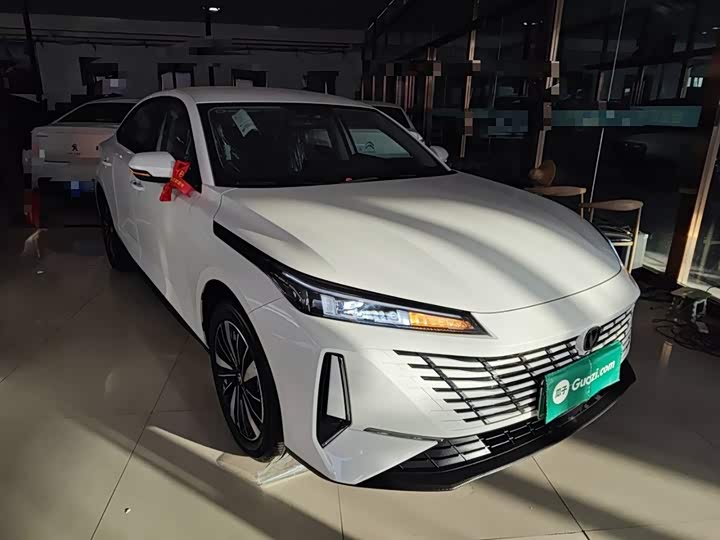 Фото 4 - Changan Eado EV