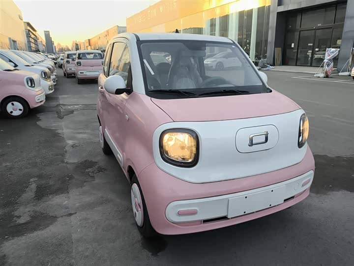 Фото 4 - Bestune Pony