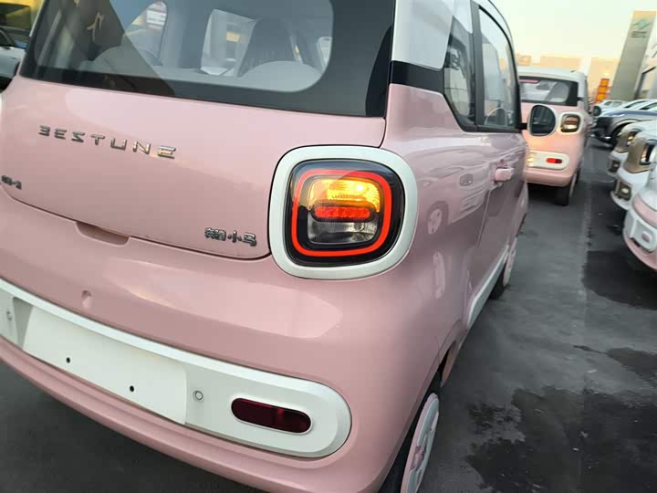 Фото 8 - Bestune Pony