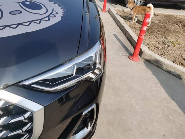 Фото 5 - Audi Q3