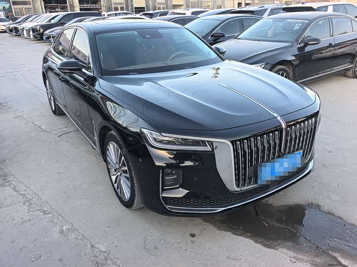 Фото 3 - Hongqi H9