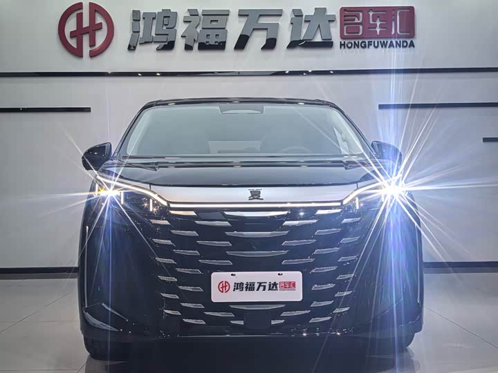 Фото 2 - BYD Xia