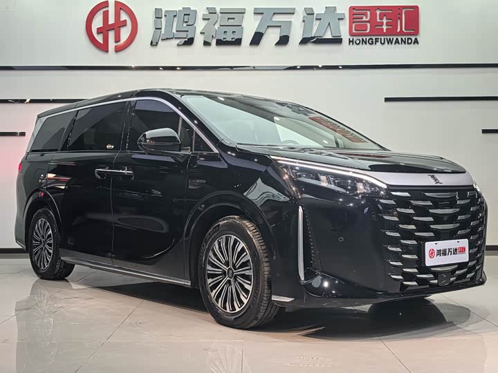 Фото 3 - BYD Xia
