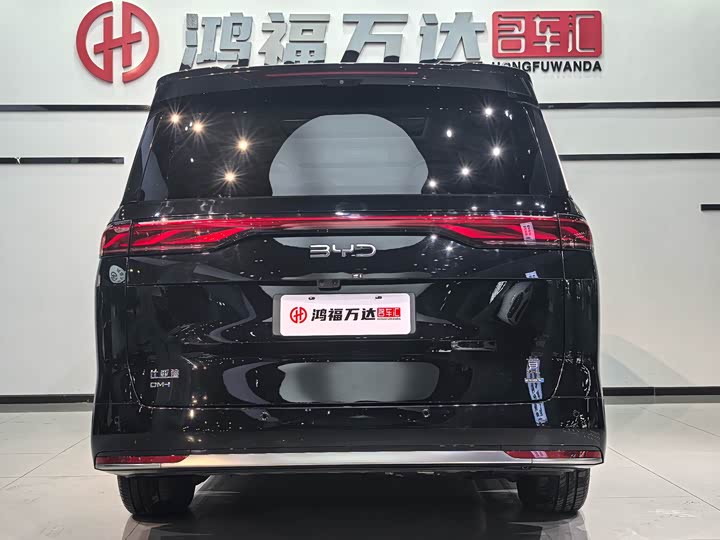 Фото 5 - BYD Xia