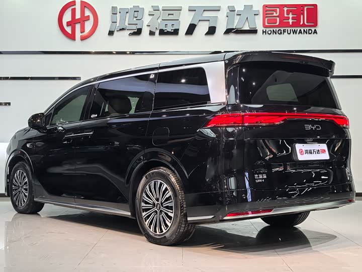 Фото 6 - BYD Xia