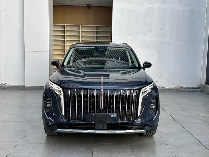 Фото 2 - Hongqi HS7