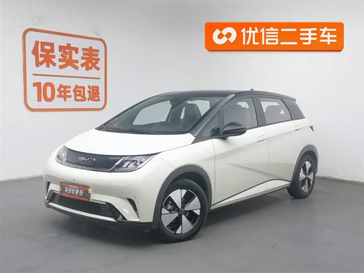 Фото 1 - BYD Dolphin