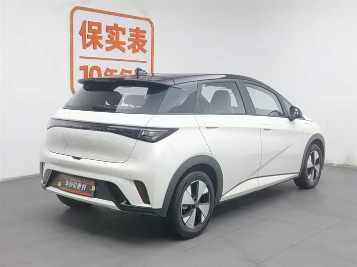 Фото 2 - BYD Dolphin