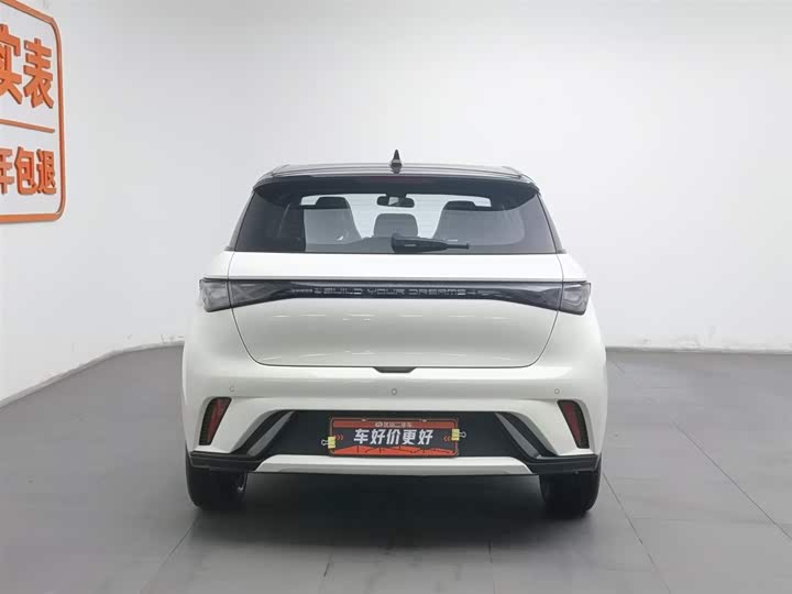 Фото 4 - BYD Dolphin