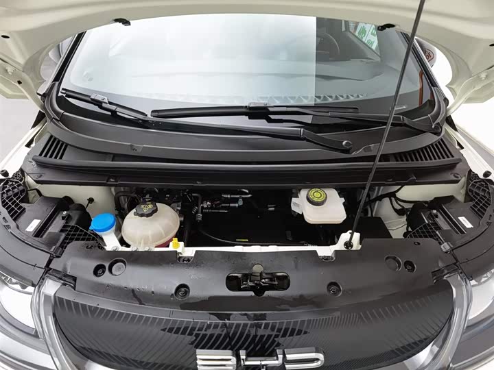 Фото 6 - BYD Dolphin