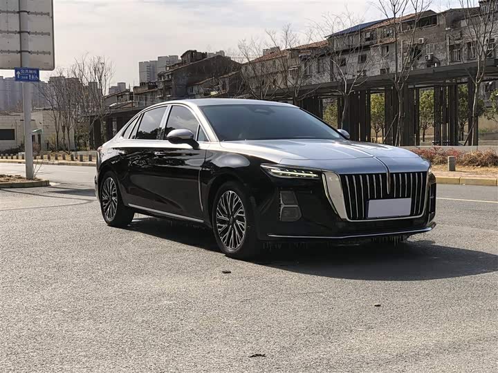 Фото 2 - Hongqi H5