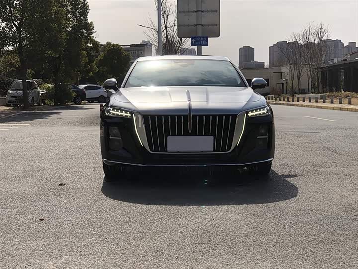 Фото 3 - Hongqi H5
