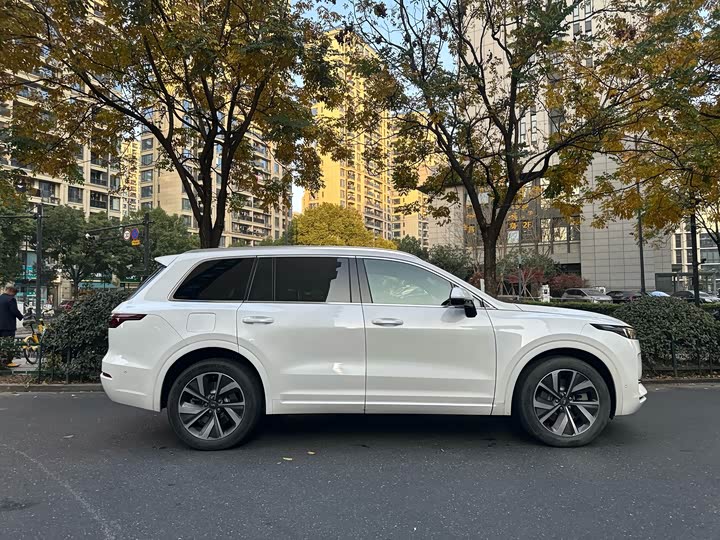 Фото 4 - LiXiang One