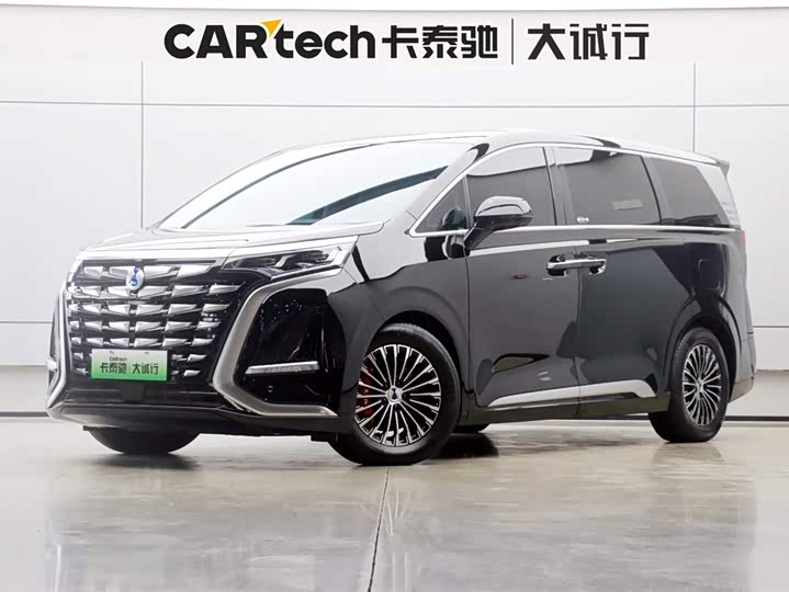 Фото 1 - Denza D9