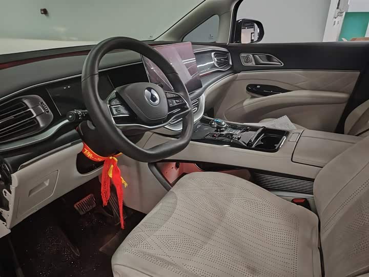 Фото 4 - Denza D9