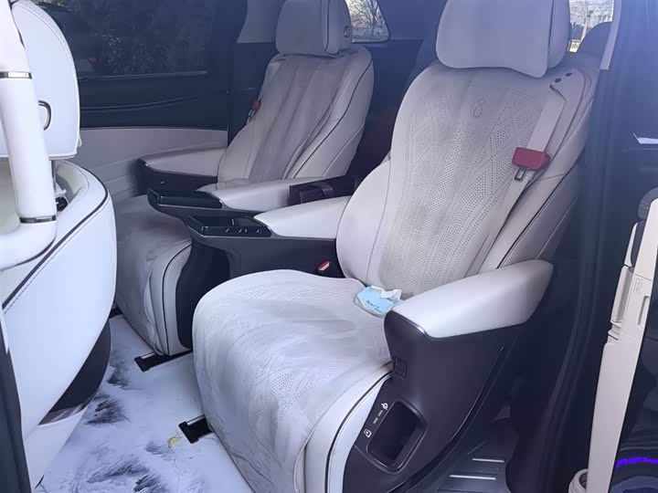 Фото 6 - Denza D9