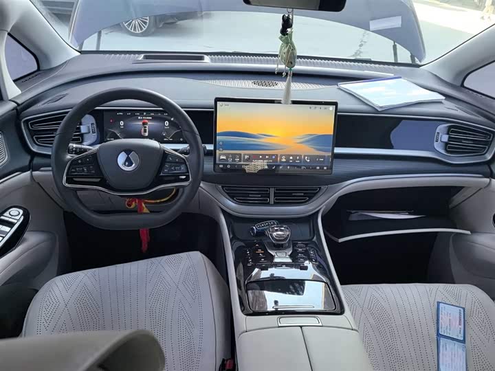 Фото 8 - Denza D9